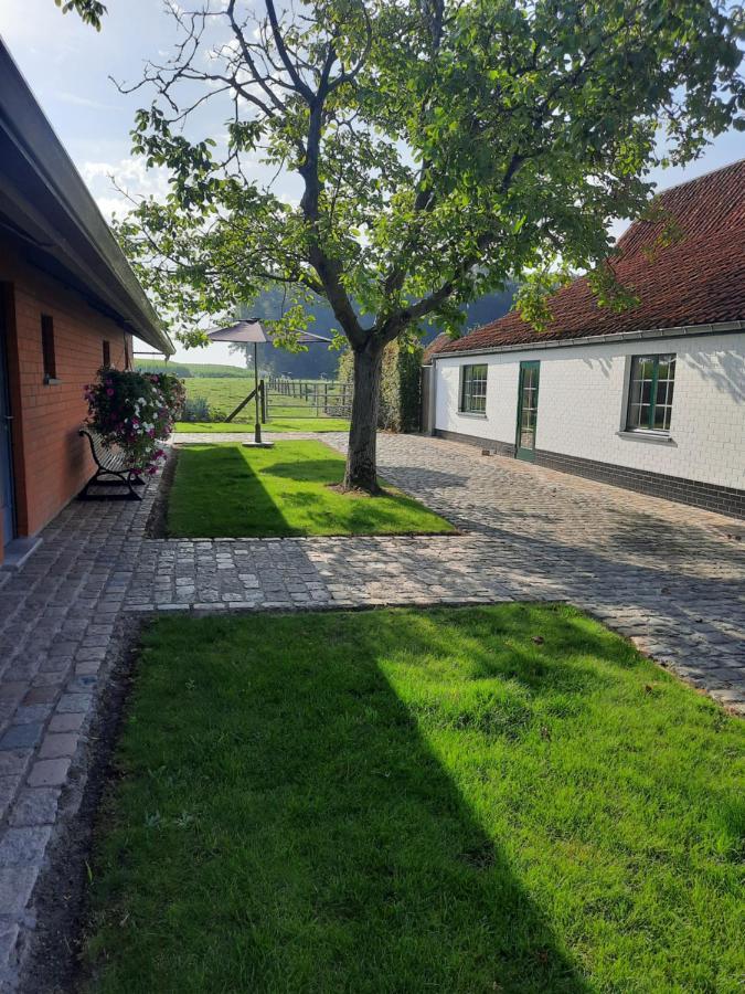 B&B Den Bruynen Bergh 贝尔内姆 外观 照片