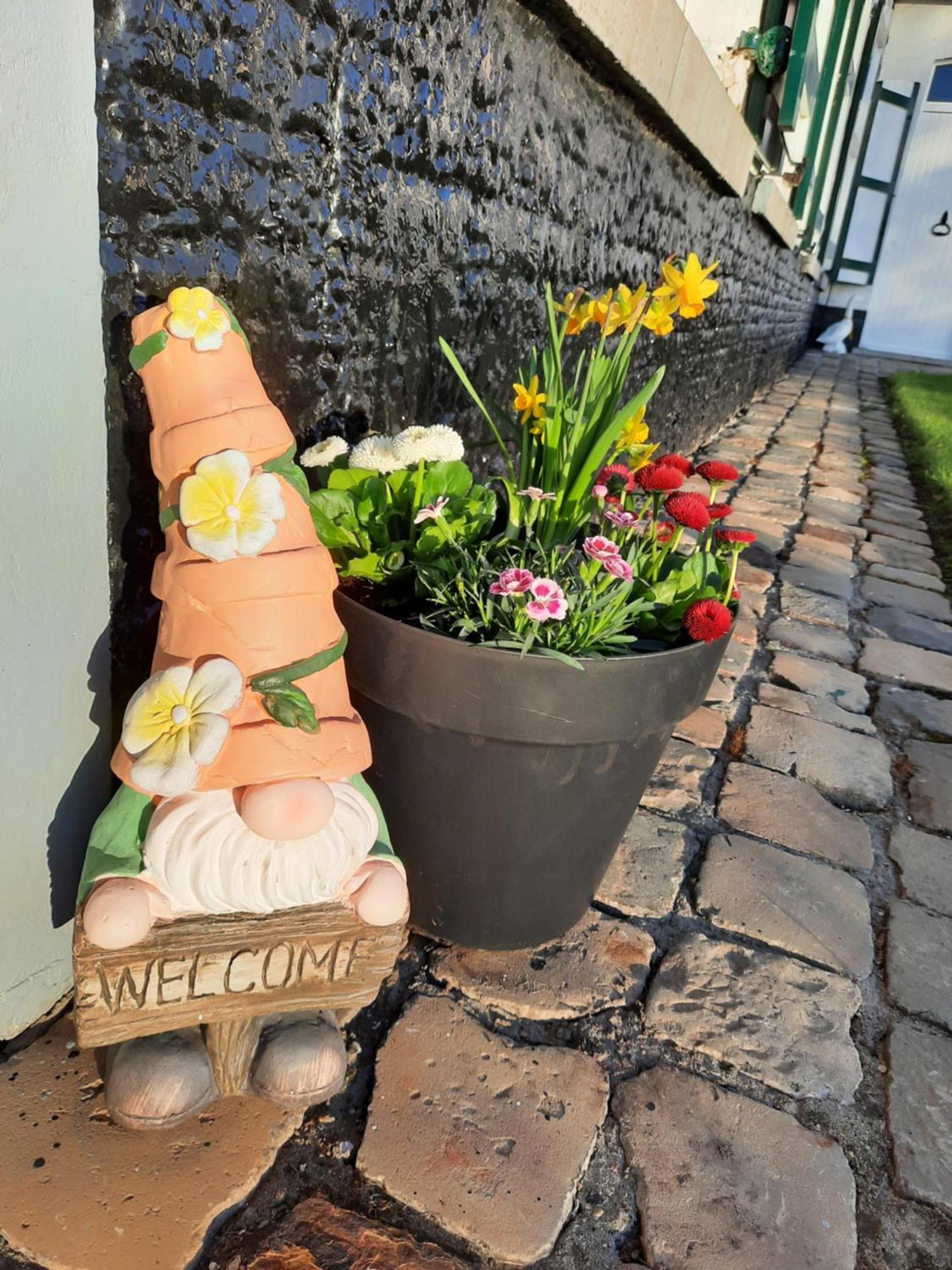 B&B Den Bruynen Bergh 贝尔内姆 外观 照片